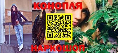 гидра Кимры